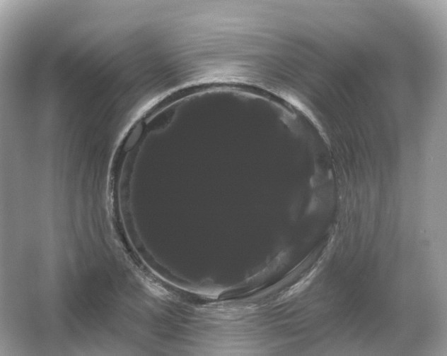 X0000066121077200603131322