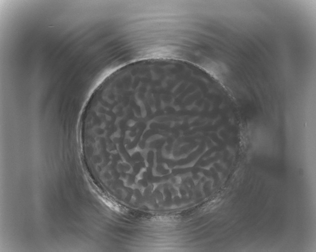 X0000066121078200603131322