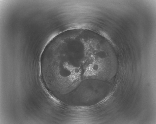 X0000066121079200603131322