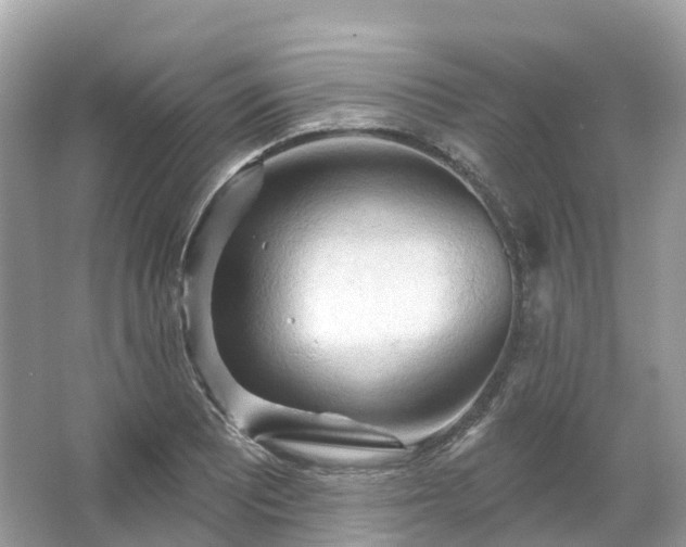 X0000066121081200603131322