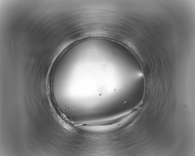 X0000066121082200603131322