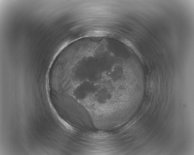 X0000066121083200603131322