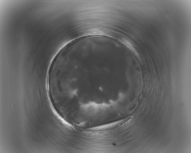 X0000066121084200603131322