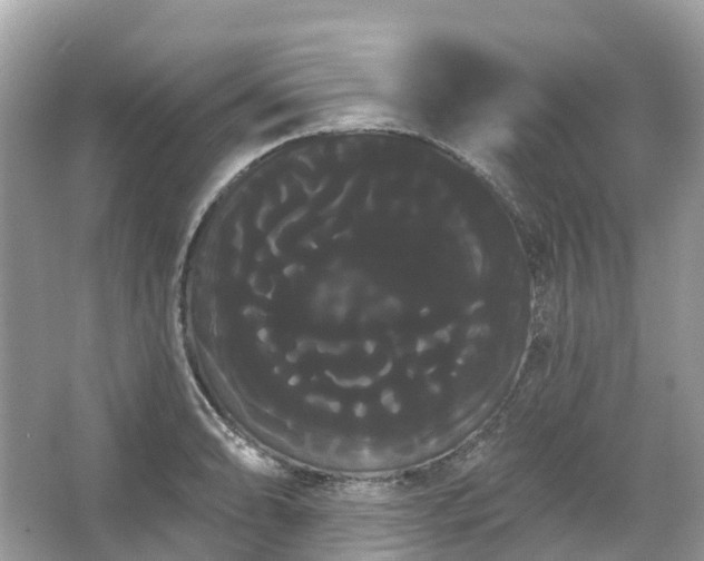 X0000066121086200603131322