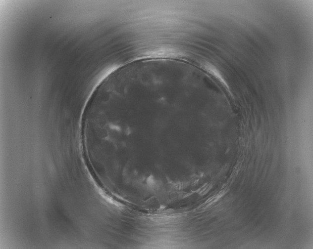 X0000066121087200603131322