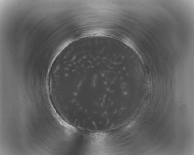 X0000066121090200603131322