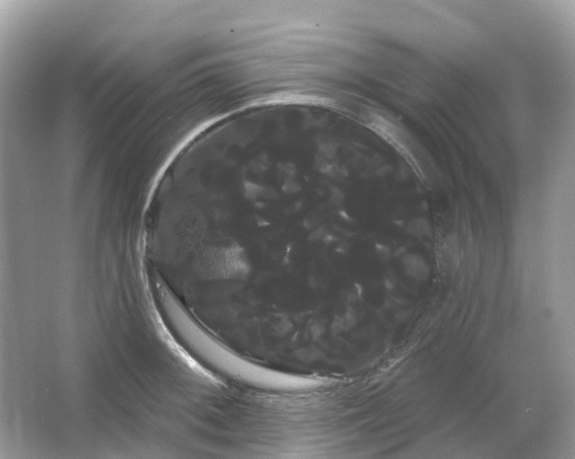 X0000066121092200603131322