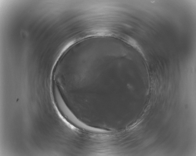 X0000066121095200603131322