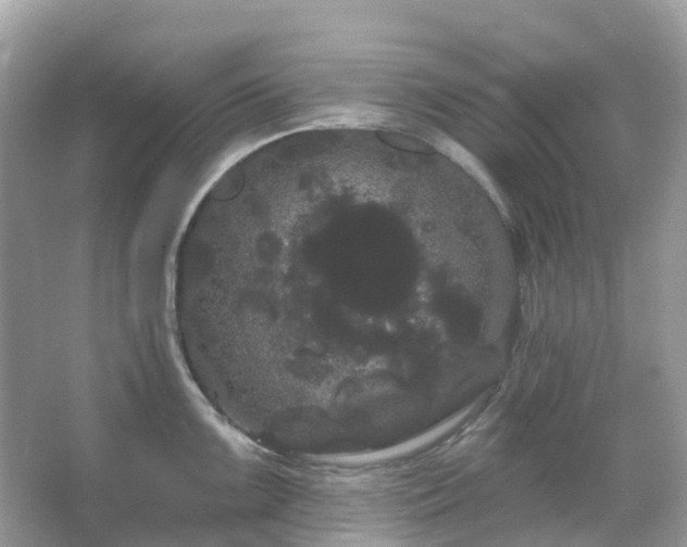 X0000066121099200603131322