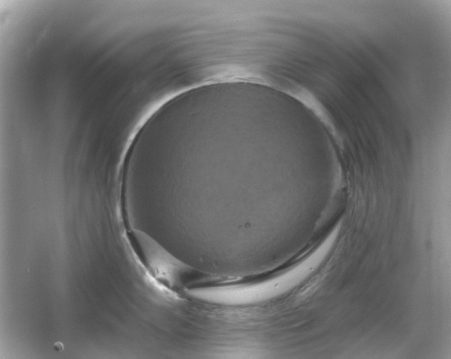 X0000066121102200603131321