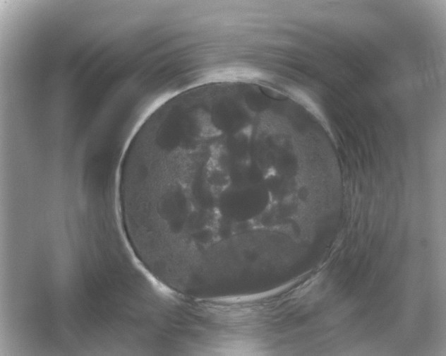 X0000066121103200603131321