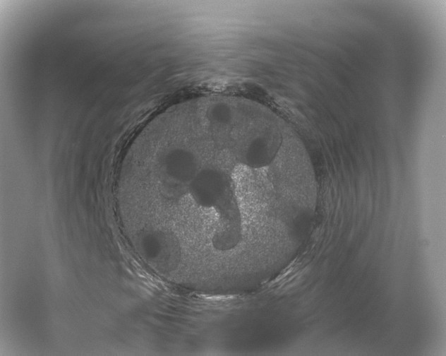 X0000066121105200603131321