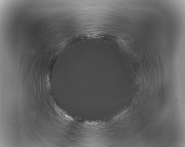 X0000066121106200603131321