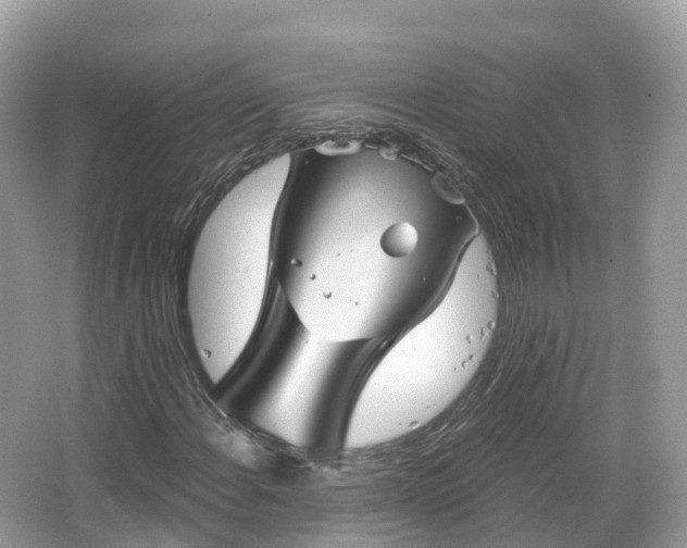 X0000066121108200603131321