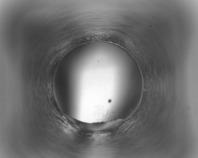 X0000066121109200603131321