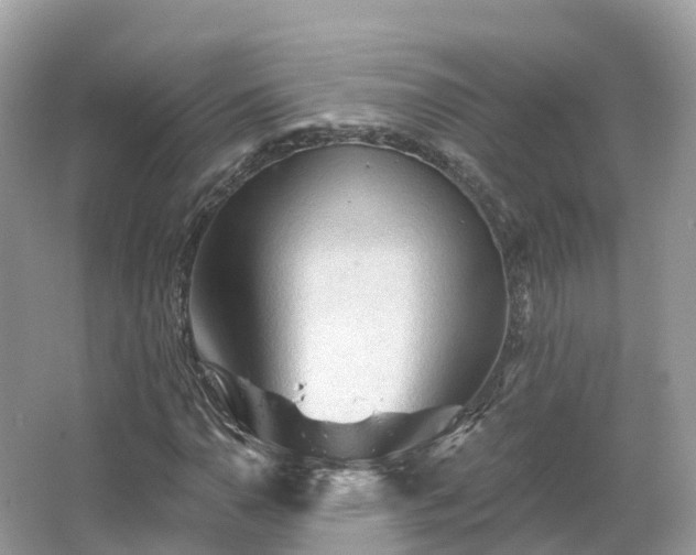 X0000066121110200603131321