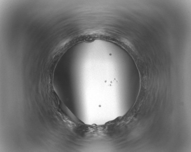 X0000066121111200603131321