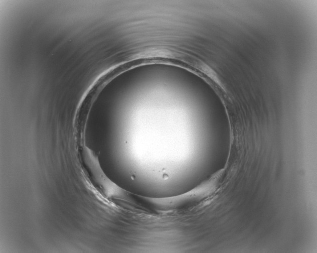 X0000066121116200603131321