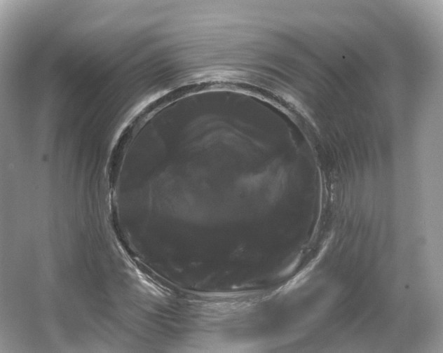 X0000066121117200603131321