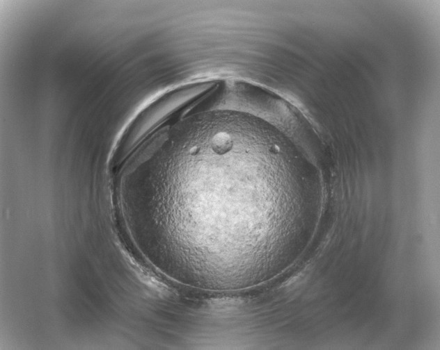 X0000066121118200603131321