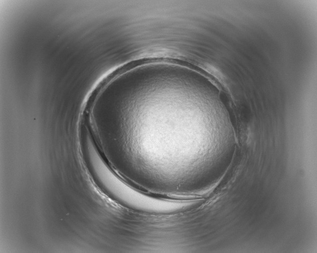 X0000066121120200603131321