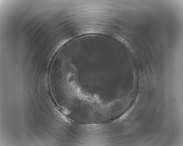 X0000066121121200603131321