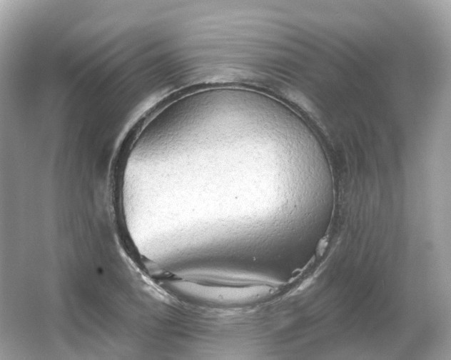 X0000066121122200603131321