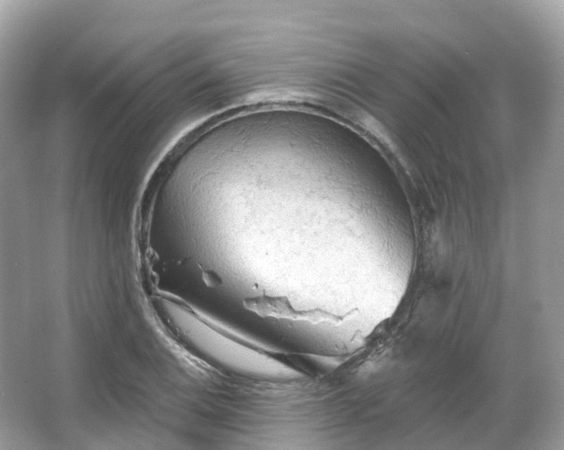 X0000066121124200603131321