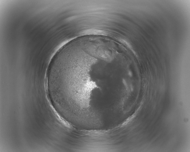 X0000066121125200603131321