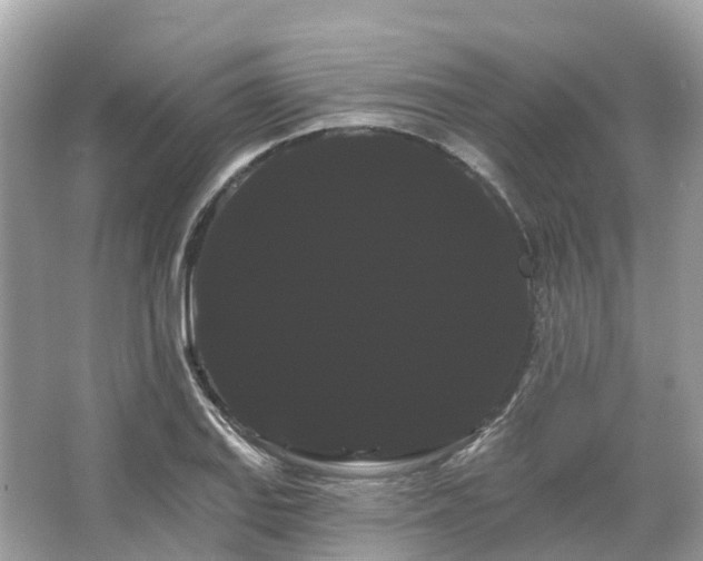 X0000066121127200603131321