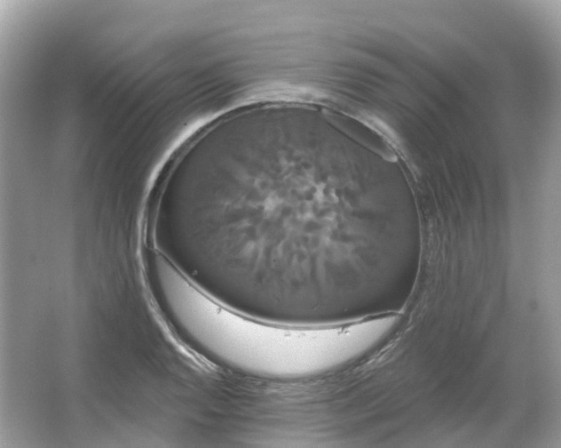 X0000066121128200603131321