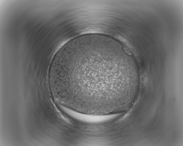 X0000066121129200603131321