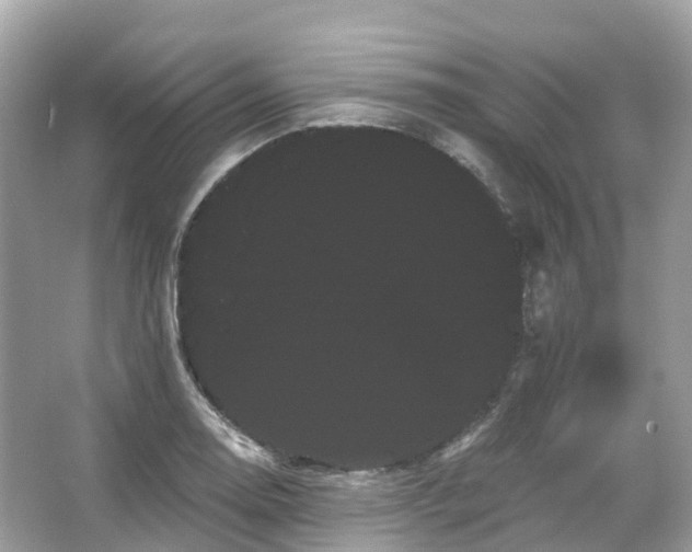 X0000066121130200603131321