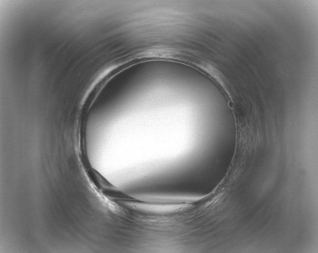 X0000066121131200603131321