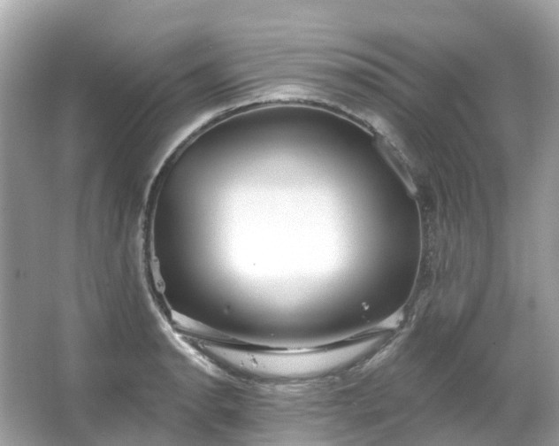 X0000066121134200603131321