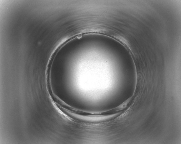 X0000066121135200603131321