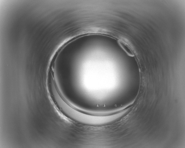 X0000066121136200603131321