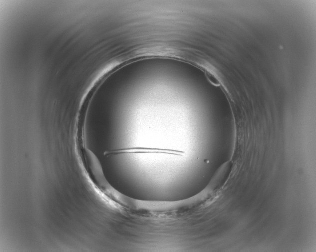 X0000066121139200603131321