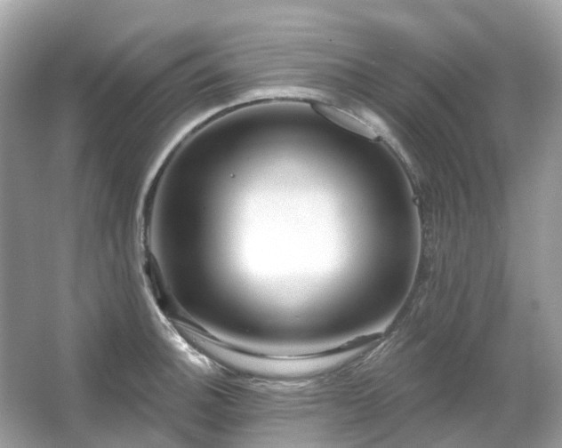 X0000066121140200603131321