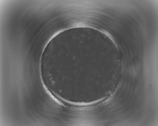 X0000066121142200603131321