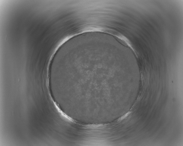 X0000066121143200603131321