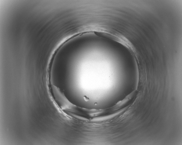 X0000066121144200603131321