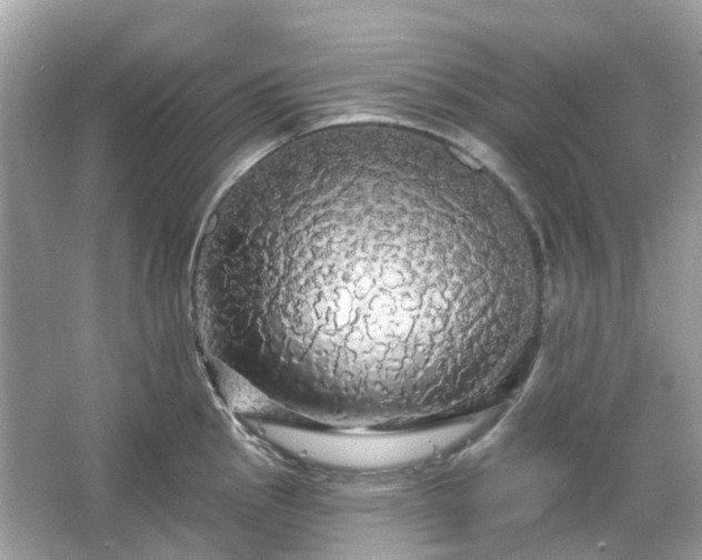 X0000066121145200603131321