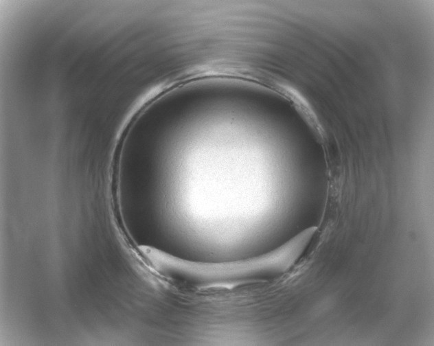 X0000066121146200603131321