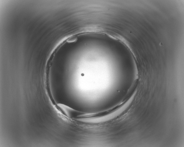 X0000066121147200603131321