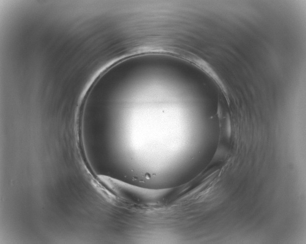 X0000066121148200603131321