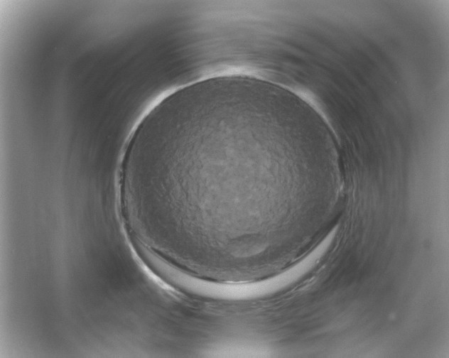 X0000066121151200603131321