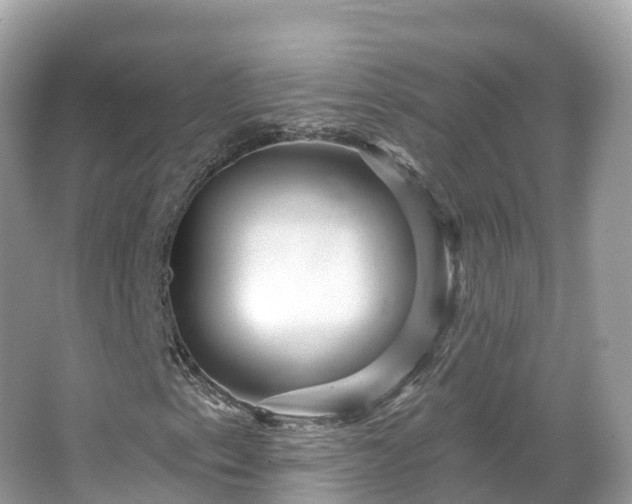 X0000066121153200603131321