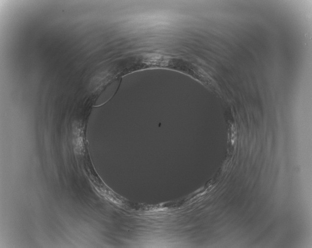 X0000066121154200603131321