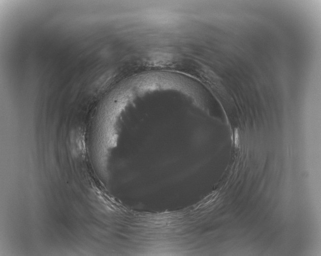 X0000066121155200603131321